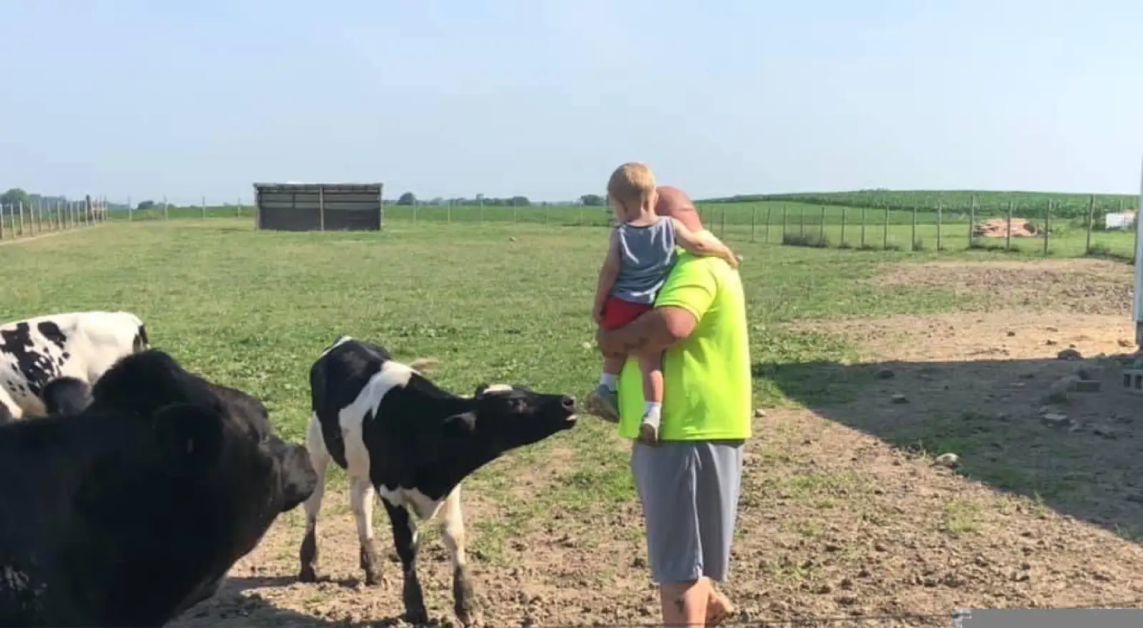 The Family at Fun-EE Farm Longhorns