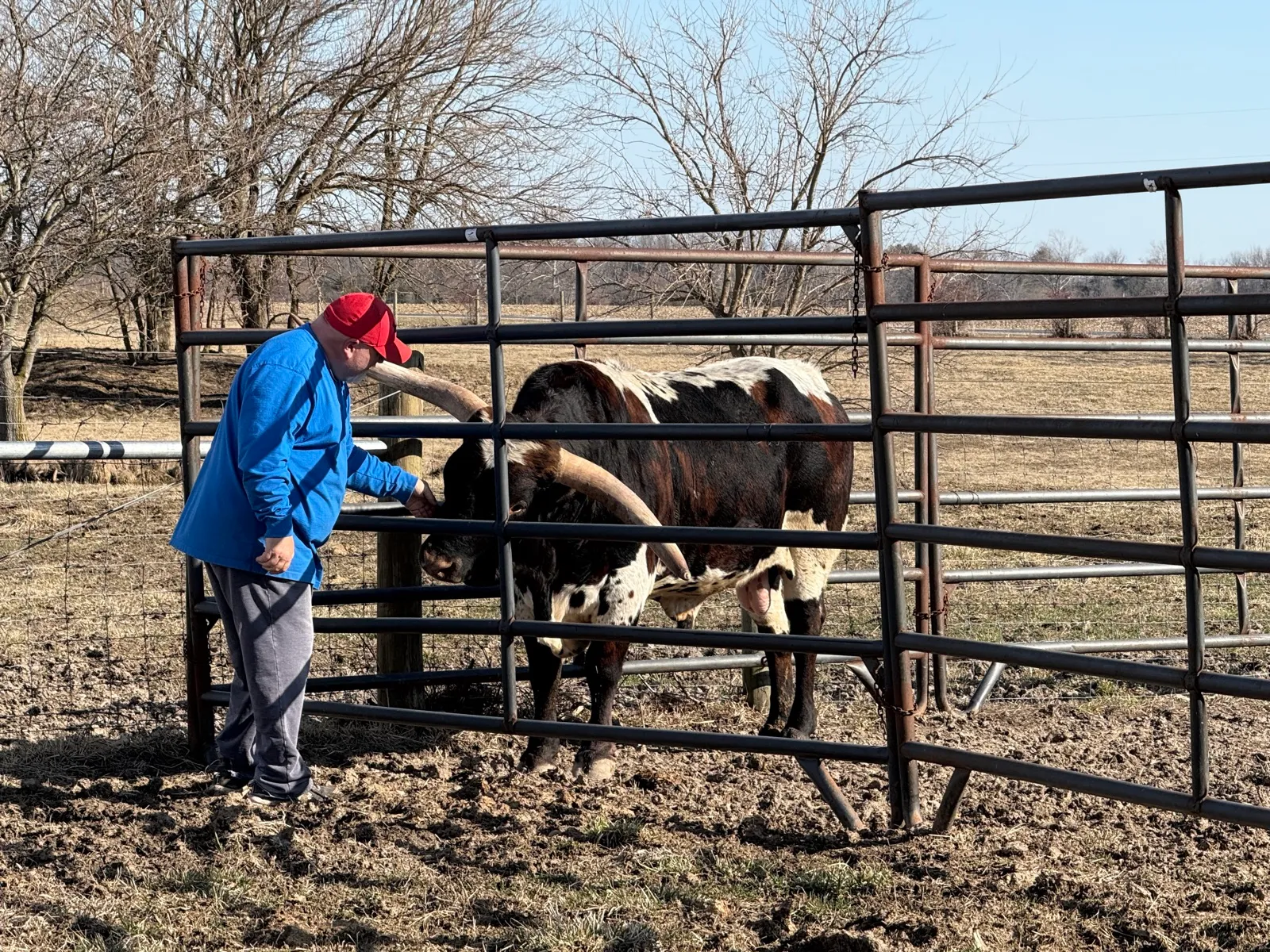 LK Rodeo Tuff Chex in the pasture at Fun-EE Farm