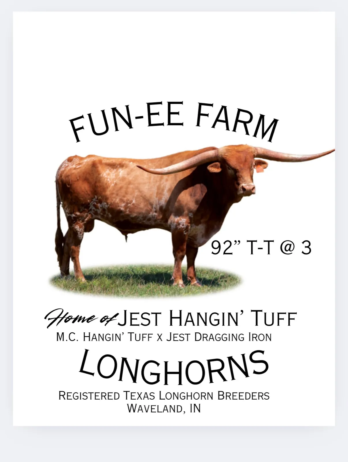 Jest Hangin' Tuff in the pasture at Fun-EE Farm