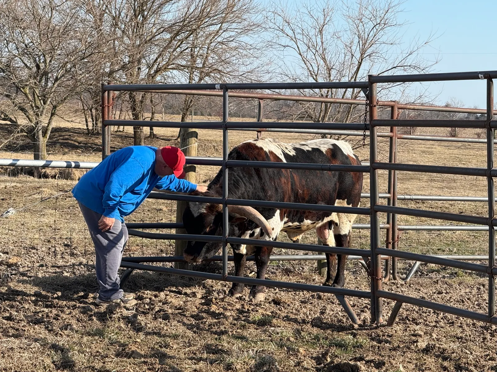 LK Rodeo Tuff Chex at Fun-EE Farm