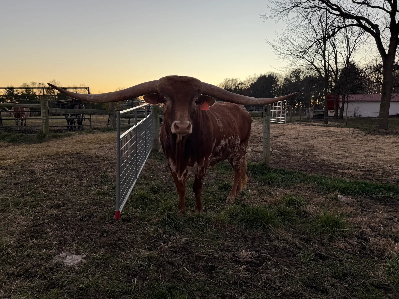 Jest Hangin' Tuff at Fun-EE Farm