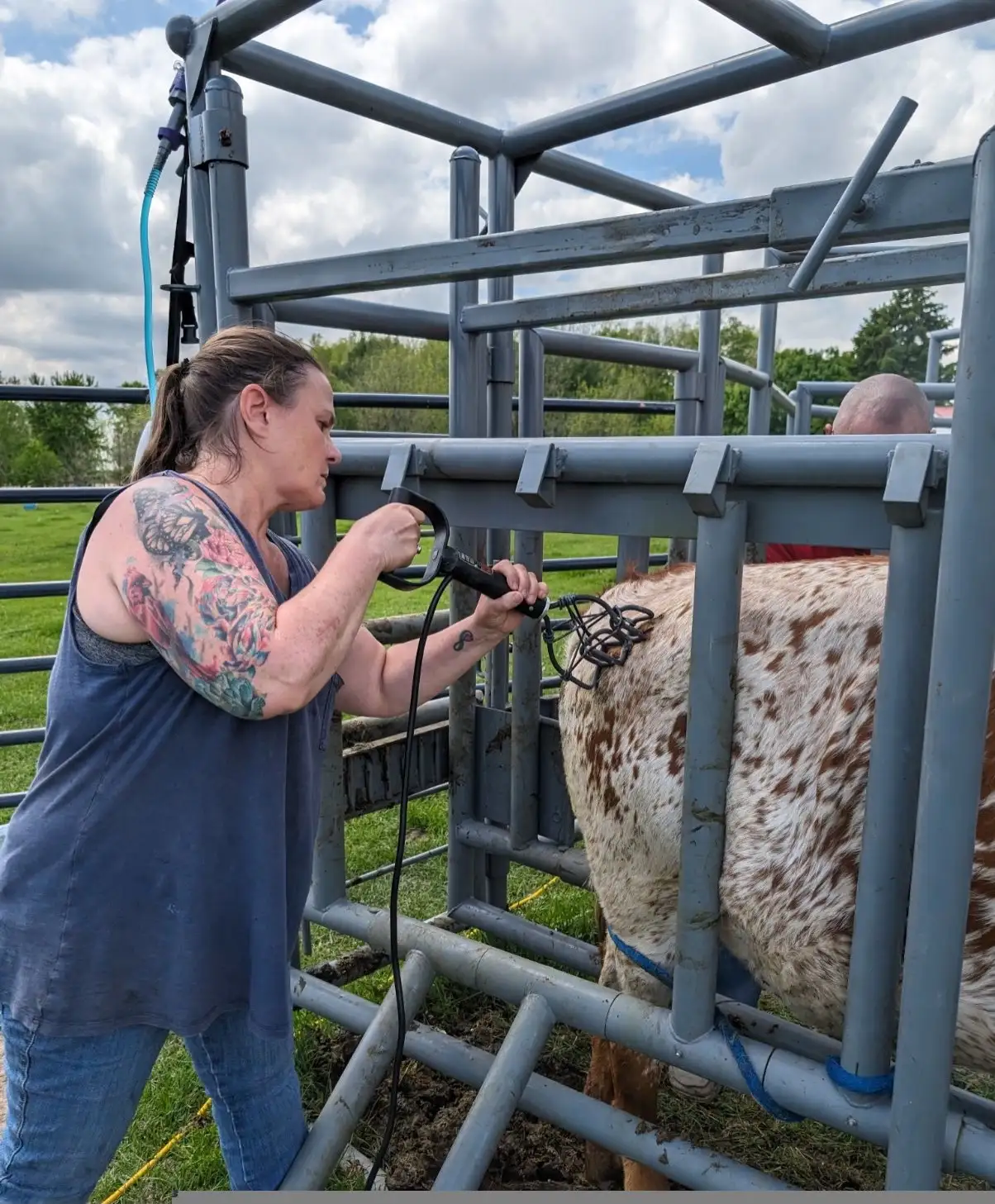 Life on the Farm at Fun-EE Farm Longhorns