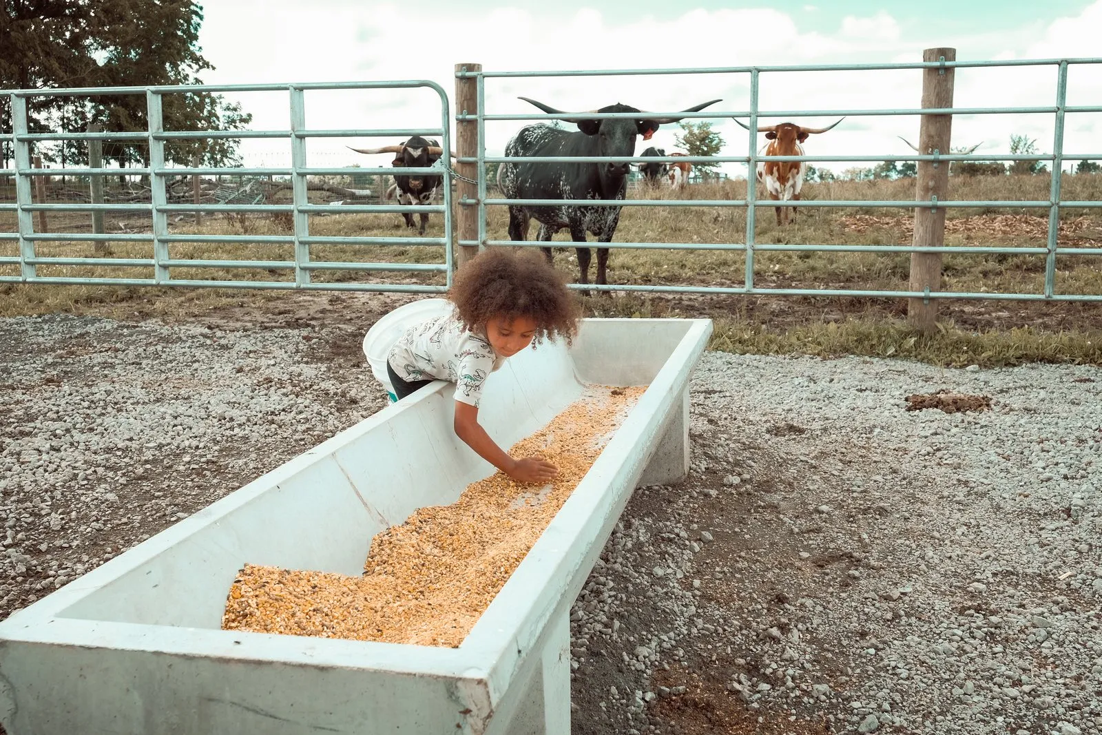 Family helping feed the herd at Fun-EE Farm